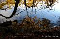 Herbst am See-012